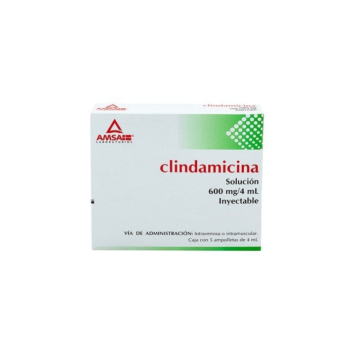 CLINDAMICINA (Amsa) Sol. Iny. c/5 AMPTAS. 600 MG/4 ML.